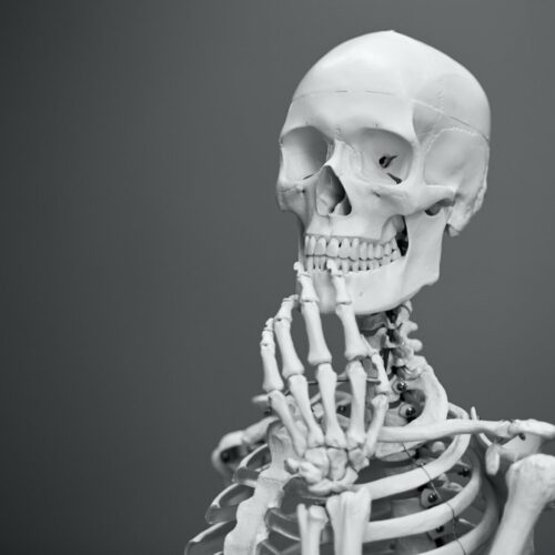 Orthopädie